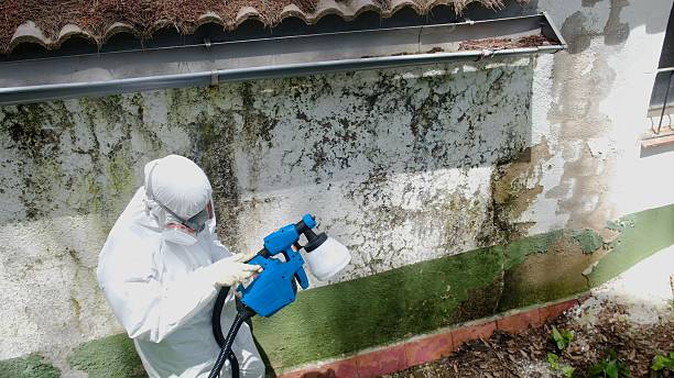 Top rated local Commercial Mold Remediation specialists in Buckingham, PA